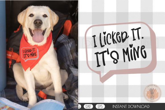 Reviewing the I Licked It Dog Bandana SVG