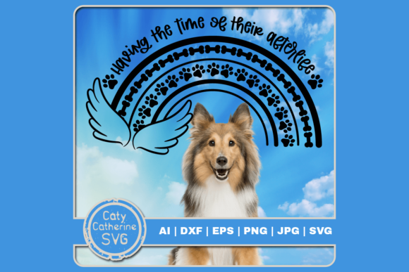 Reviewing Time of Their AfterLife Dog Remembrance